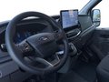 Daumennagel 10 - Ford Transit 350L2 Trend