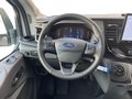 Daumennagel 11 - Ford Transit 350L2 Trend