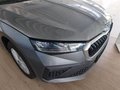 Daumennagel 7 - 2024 Skoda Scala Selection