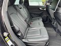 Daumennagel 11 - Audi SQ7 4.0 TDI quattro NIGHT|Bose|ACC|STHZG|Voll
