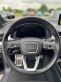 Daumennagel 9 - Audi SQ7 4.0 TDI quattro NIGHT|Bose|ACC|STHZG|Voll