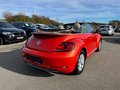 Daumennagel 6 - Volkswagen Beetle Cabriolet Design BMT/Start-Stopp DSG|Kam.