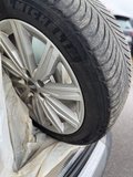 Daumennagel 12 - Audi A6 Allroad quattro 3.0 TFSI LPG|Xenon|AHK|Leder