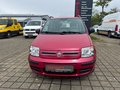 Daumennagel 2 - Fiat Panda 1.2 8V Dynamic Klima|Servo|Zentral|