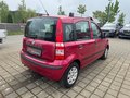 Daumennagel 6 - Fiat Panda 1.2 8V Dynamic Klima|Servo|Zentral|