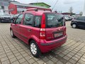 Daumennagel 4 - Fiat Panda 1.2 8V Dynamic Klima|Servo|Zentral|