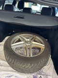 Daumennagel 19 - Mercedes-Benz C 220 T d 4Matic AMG Line |LED|Kam|AHK|Spurhass.