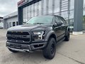 Daumennagel 1 - Ford F-150 SVT Raptor LOBO 3.5 V6 AHK|LED|360°|B&O|NAV