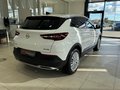 Daumennagel 6 - Opel Grandland Innovation LED|Kamera|Tempo