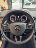 Daumennagel 7 - Skoda Kodiaq Scout 4x4 DSG|360°|7 Sitzer|StandHZ|LED