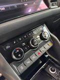 Daumennagel 14 - Skoda Kodiaq Scout 4x4 DSG|360°|7 Sitzer|StandHZ|LED