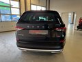 Daumennagel 5 - Skoda Kodiaq Scout 4x4 DSG|ACC|Navi|Kamera|
