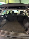 Daumennagel 13 - Skoda Kodiaq Scout 4x4 DSG|ACC|Navi|Kamera|