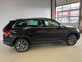 Daumennagel 4 - Skoda Kodiaq Scout 4x4 DSG|ACC|Navi|Kamera|