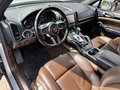 Daumennagel 8 - Porsche Cayenne Diesel Pano|Luftfederung|PDLS