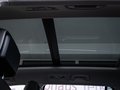 Daumennagel 12 - Volkswagen Passat 2.0 TDI  ACC MATRIX PANO AHK