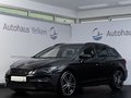 Daumennagel 2 - SEAT Leon Cupra ST 2.0 TSI 4Drive ACC LED PANO