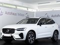 Daumennagel 2 - Volvo XC60 Plus Dark 2WD ACC STDHZ AHK