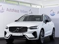 Daumennagel 1 - Volvo XC60 Plus Dark 2WD ACC STDHZ AHK