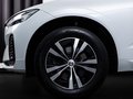Daumennagel 6 - Volvo XC60 Plus Dark 2WD ACC STDHZ AHK