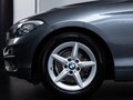 Daumennagel 6 - BMW 116d Efficient Dynamics  BUSINESS TEMP PDC