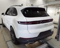 Daumennagel 3 - Porsche Cayenne E-Hybrid HD-MATRIX LUFT PANO HUD AHK 21