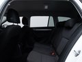 Daumennagel 11 - Skoda Octavia Combi 1.6 TDI Ambition  SHZ DAB TEMP
