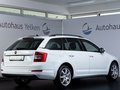 Daumennagel 4 - Skoda Octavia Combi 1.6 TDI Ambition  SHZ DAB TEMP