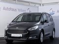 Daumennagel 1 - Ford Galaxy Titanium NAVI SHZ TEMP PPS 7-Sitzer