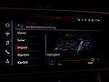 Daumennagel 21 - Audi A6 Avant 40 TDI sport ACC MATRIX-HD RFK AHK