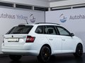 Daumennagel 4 - Skoda Fabia Combi 1.2 TSI Ambition KLIMA SHZ TEMP