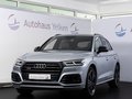 Daumennagel 1 - Audi SQ5 3.0 TDI ACC MATRIX B&O LUFT VIRTUAL AHK