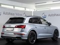 Daumennagel 4 - Audi SQ5 3.0 TDI ACC MATRIX B&O LUFT VIRTUAL AHK