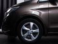 Daumennagel 6 - Mercedes-Benz V250d 4M extralang COMAND LED AHK RFK