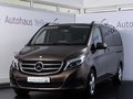 Daumennagel 1 - Mercedes-Benz V250d 4M extralang COMAND LED AHK RFK