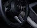 Daumennagel 31 - Porsche Taycan Turbo Sport Turismo SPORTDESIGN CARBON