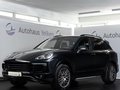 Daumennagel 2 - Porsche Cayenne Diesel Platinum Edition PASM PANO AHK RK