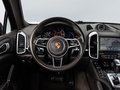 Daumennagel 8 - Porsche Cayenne Diesel Platinum Edition PASM PANO AHK RK