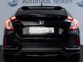 Daumennagel 5 - Honda Civic 1.5 Prestige ACC LED PANO RFK SPUR