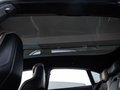Daumennagel 13 - Porsche Taycan GTS Sport Turismo SPORTDESIGN CARBON BURM