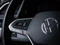 Daumennagel 14 - Volkswagen T6.1 Multivan Comfortline 4M VIRTUAL AHK