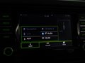 Daumennagel 25 - Skoda Octavia RS 2.0 TSI *BI-XENON*PANO