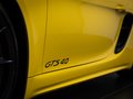 Daumennagel 21 - Porsche Cayman GTS 4.0 SCHALTENSITZ CHRONO PCM PDLS+