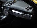 Daumennagel 29 - Porsche Cayman GTS 4.0 SCHALTENSITZ CHRONO PCM PDLS+