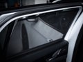 Daumennagel 18 - Volkswagen Passat 2.0 TDI R-Line MATRIX PANO H-K STDHZ AHK
