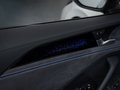 Daumennagel 17 - Volkswagen Passat 2.0 TDI R-Line MATRIX PANO H-K STDHZ AHK