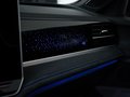Daumennagel 22 - Volkswagen Passat 2.0 TDI R-Line MATRIX PANO H-K STDHZ AHK