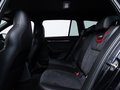 Daumennagel 12 - Skoda Octavia RS 2.0 TSI VIRTUAL AHK SPUR RFK