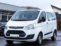Daumennagel 1 - Ford Transit Custom 2.2 TDCi 9-SITZER TEMP