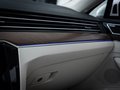 Daumennagel 30 - Volkswagen Passat GTE 1.4 TSI R-Line ACC PANO VIRTUAL AHK